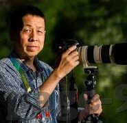 澳门赌场老虎机多少钱-澳门赌场老虎机价格揭秘，市场现状、影响因素及购买建议