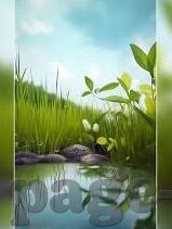 上海足球昨天比分-上海足球昨日激战，比分背后的荣耀与梦想