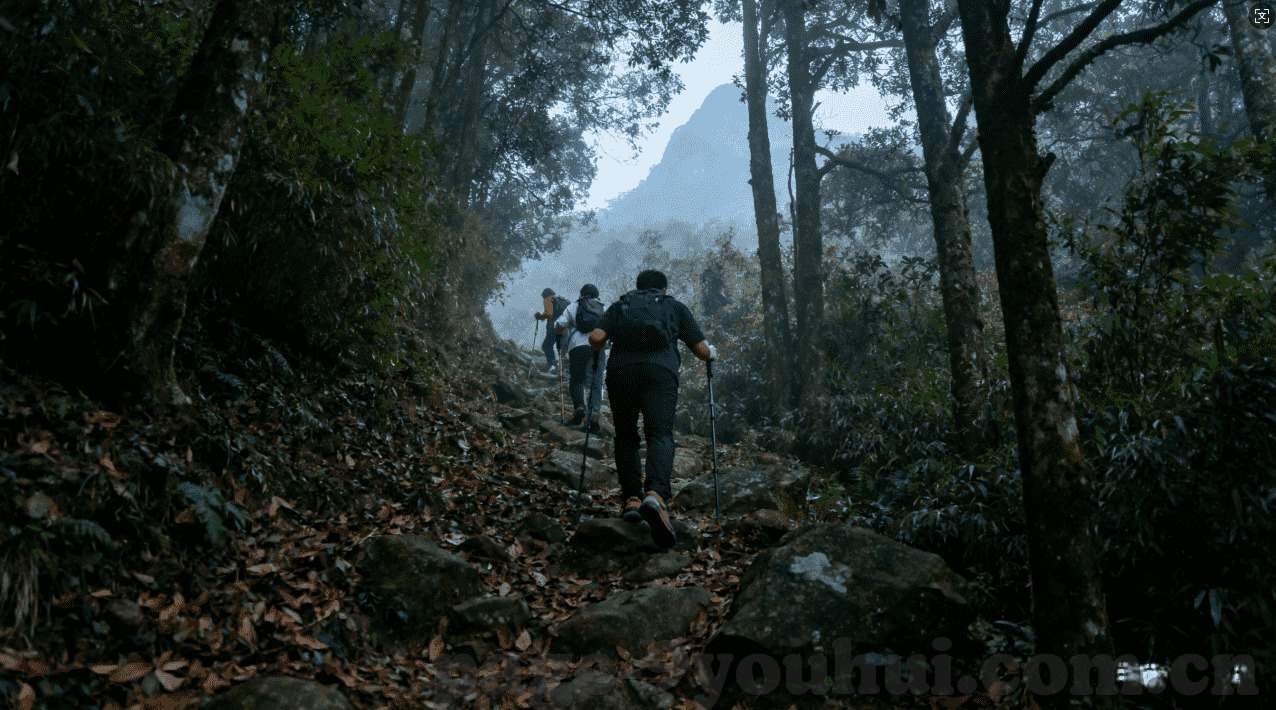 万博客户端手机网页-探索万博客户端手机网页的便捷与高效